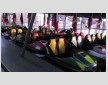 Cars for bumper cars 2